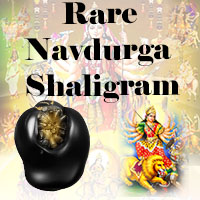 Rare Navdurga Shaligram